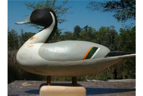 Lee Dudley Pintail