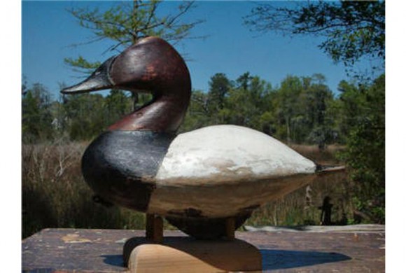 Lee Dudley Canvasback